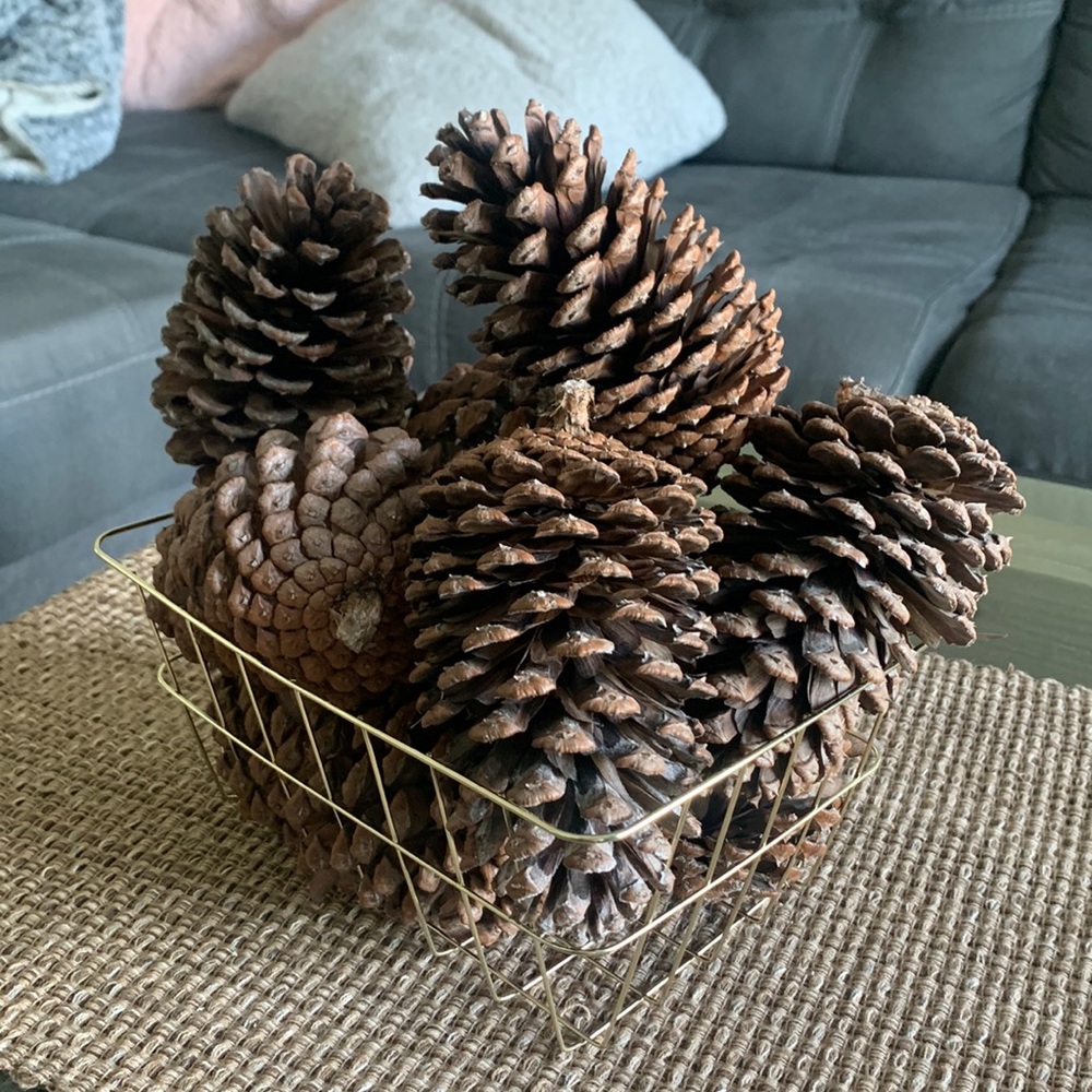 X9 natural large pine cones / Christmas home decorations / Great for Crafts